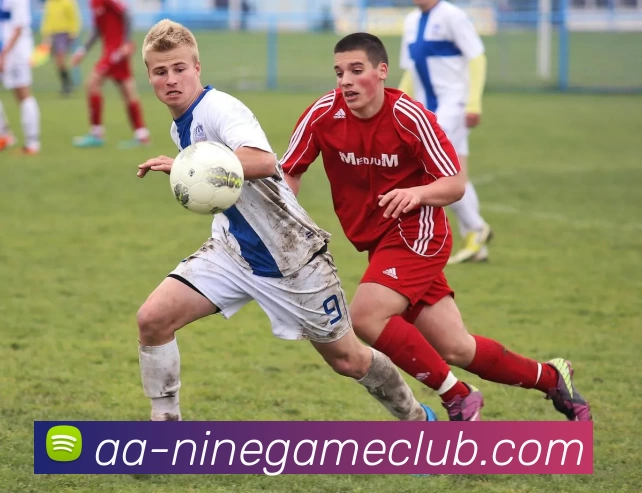 App Interface Preview